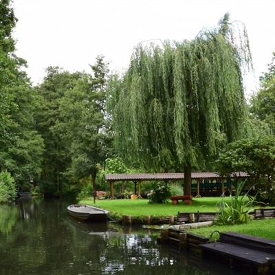 大发dafa888手机app下载截图